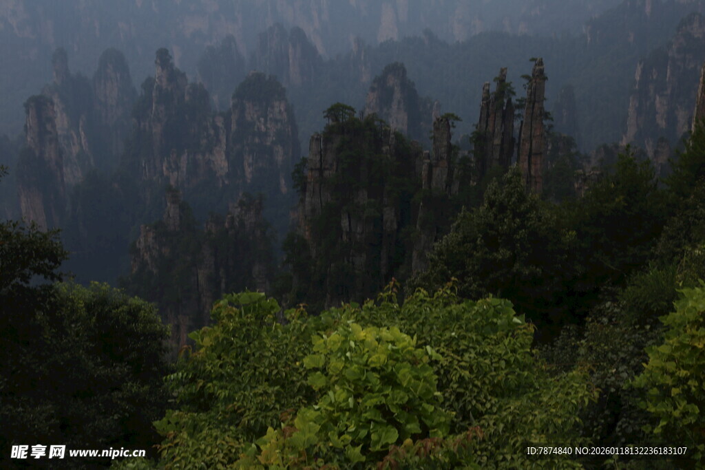 壮丽山林景观