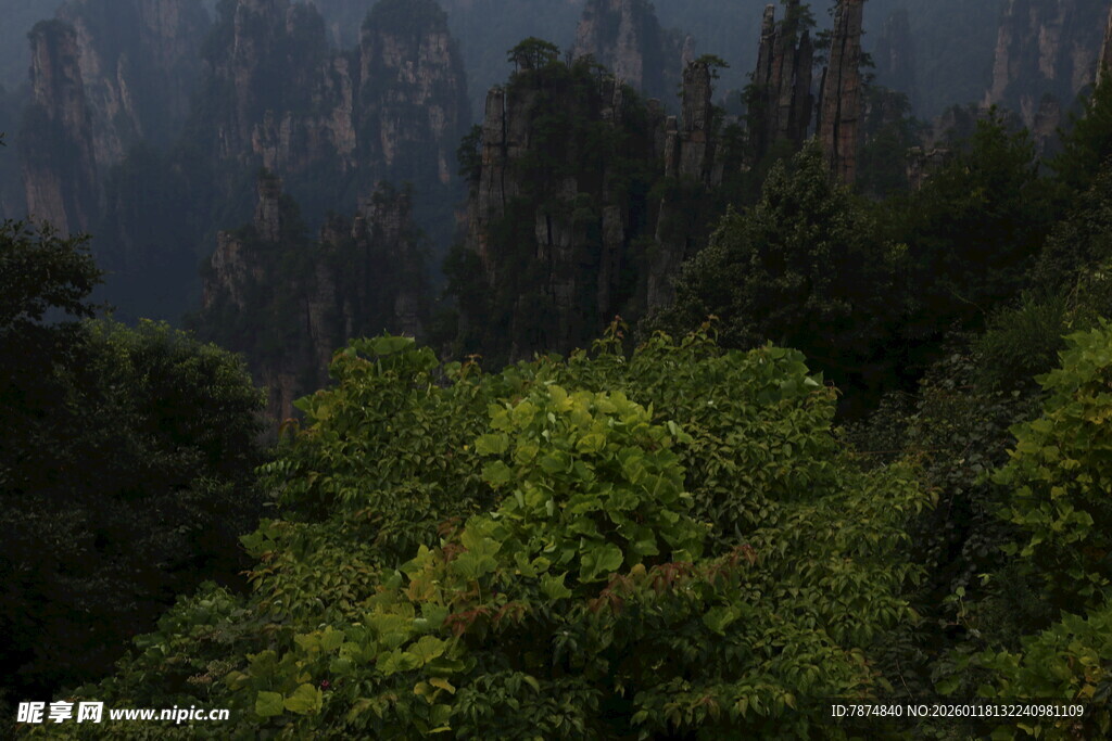 山林葱郁景色迷人