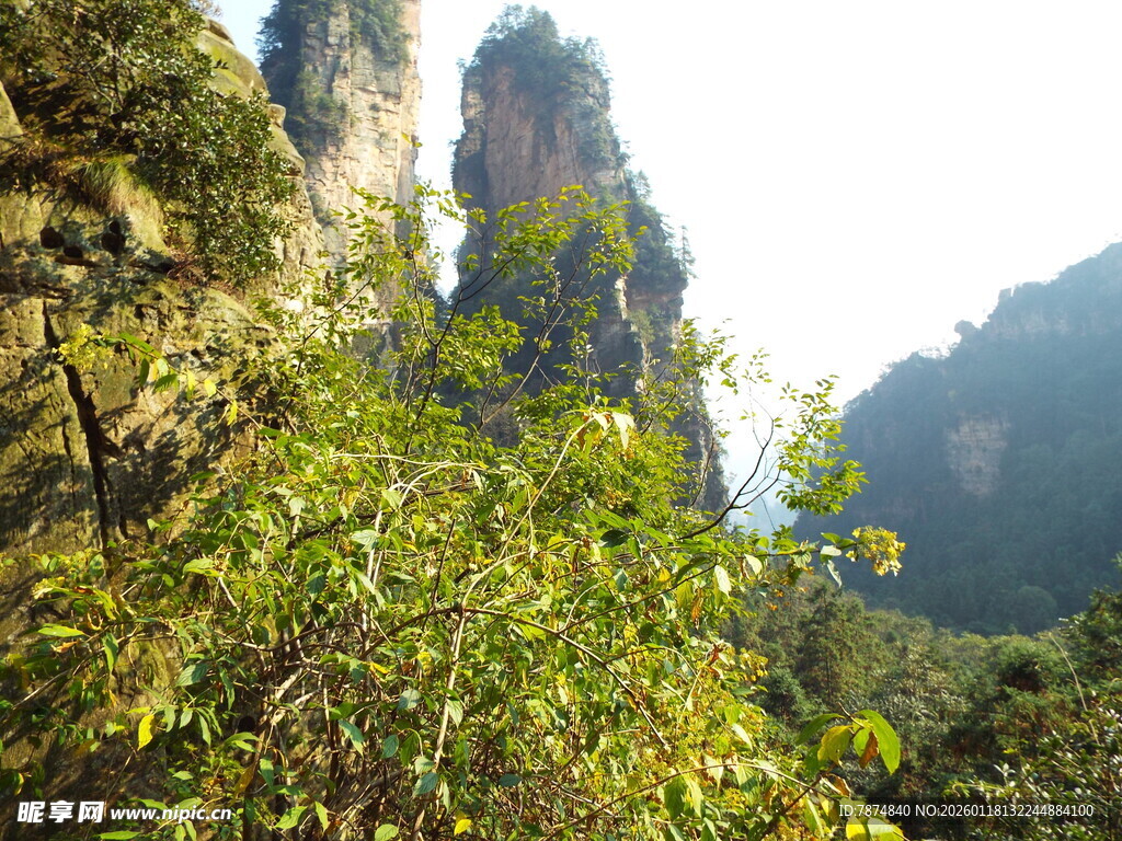 山间翠绿植被与奇峰