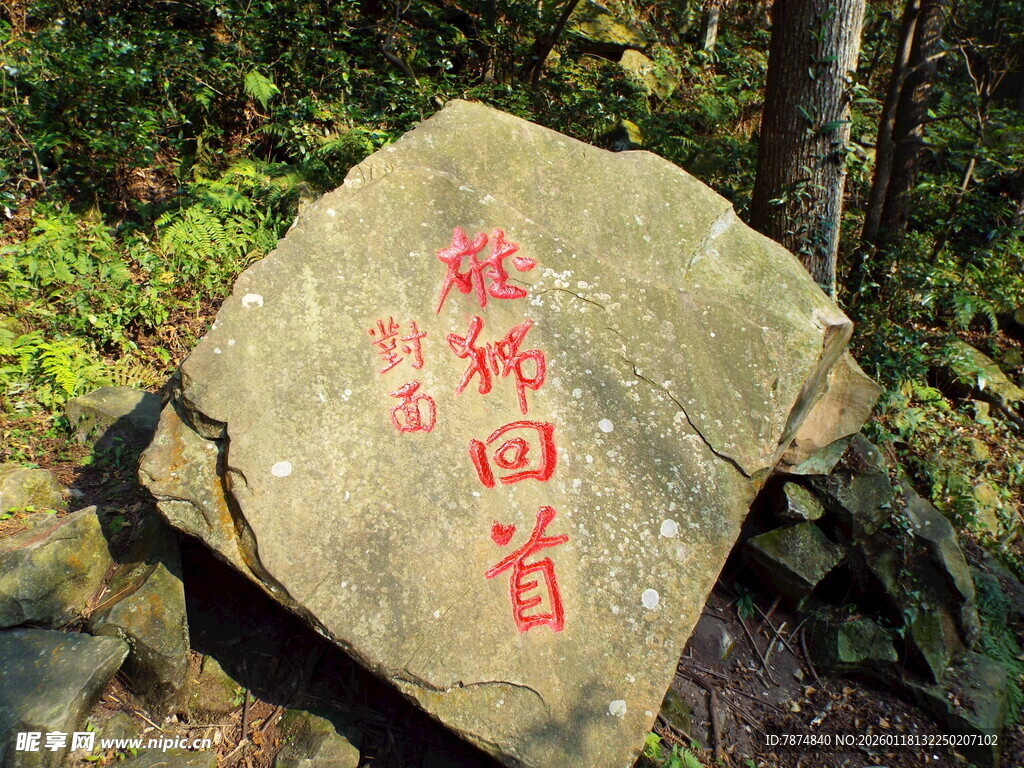 刻字奇石 猛虎回首意境