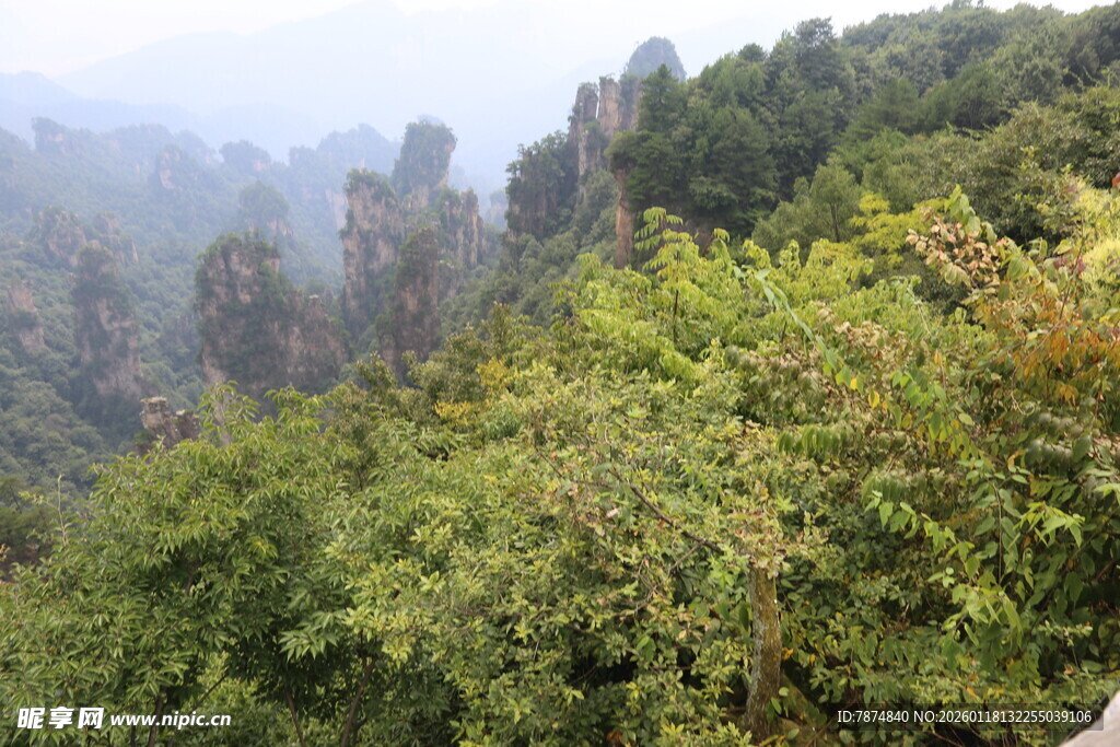 张家界奇峰异林景观