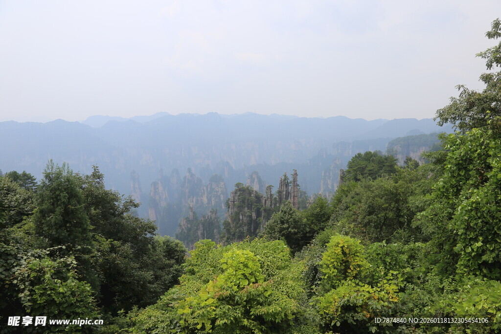 山林绿意景观