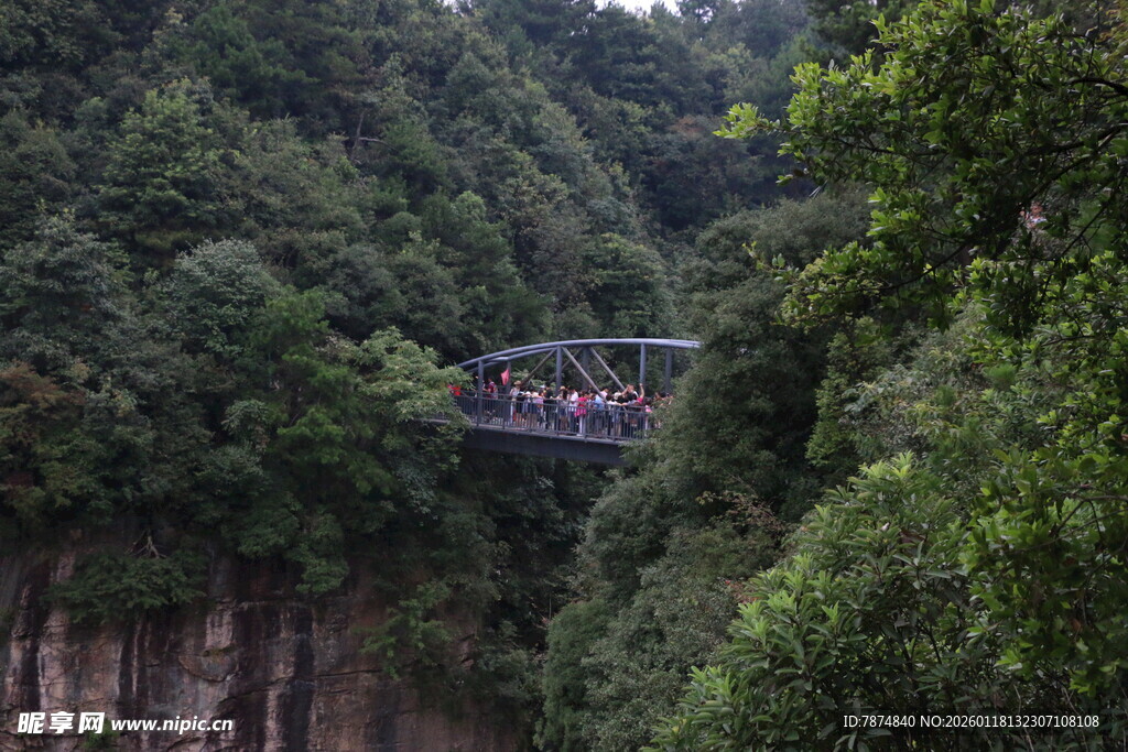 峡谷间的悬索桥景观