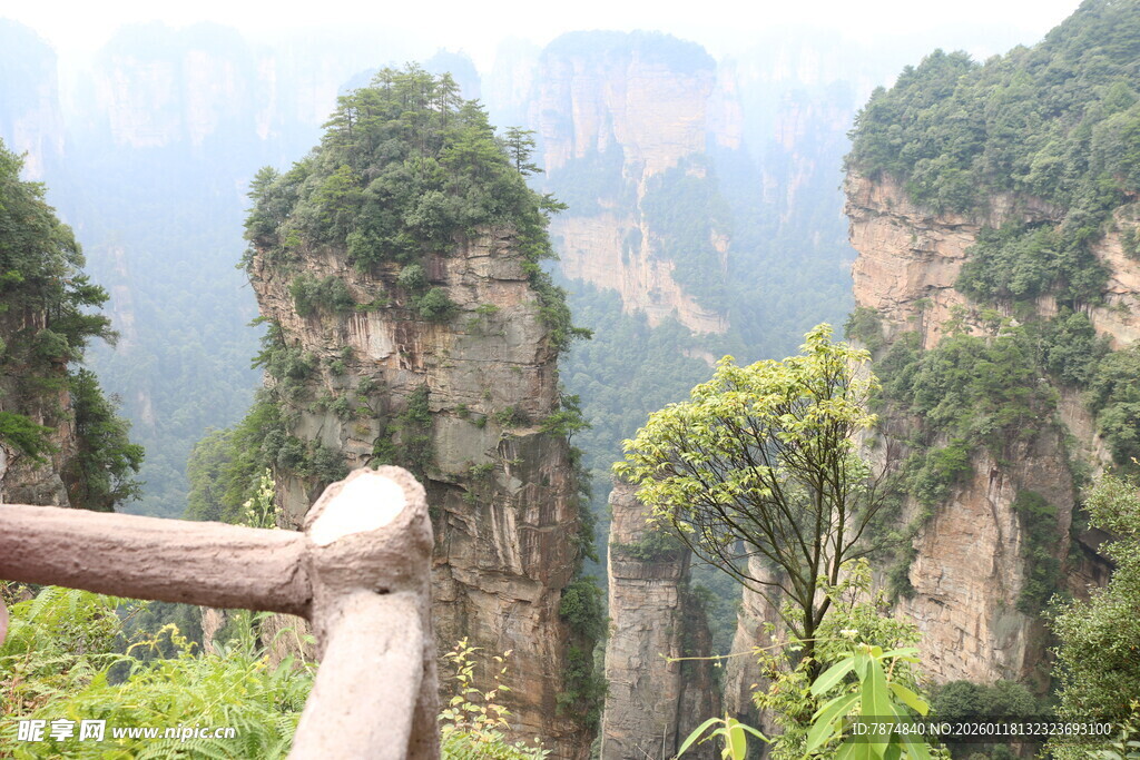 张家界奇峰美景