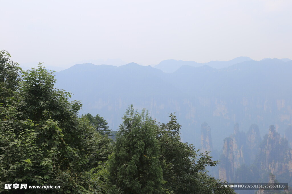 山林远景 绿意盎然