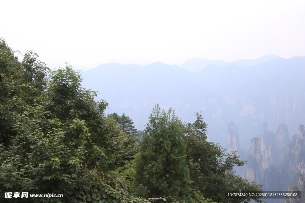 山林景色 远山近树