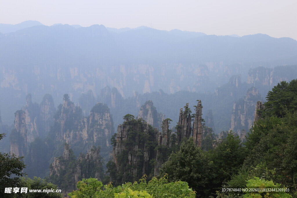 张家界奇峰美景