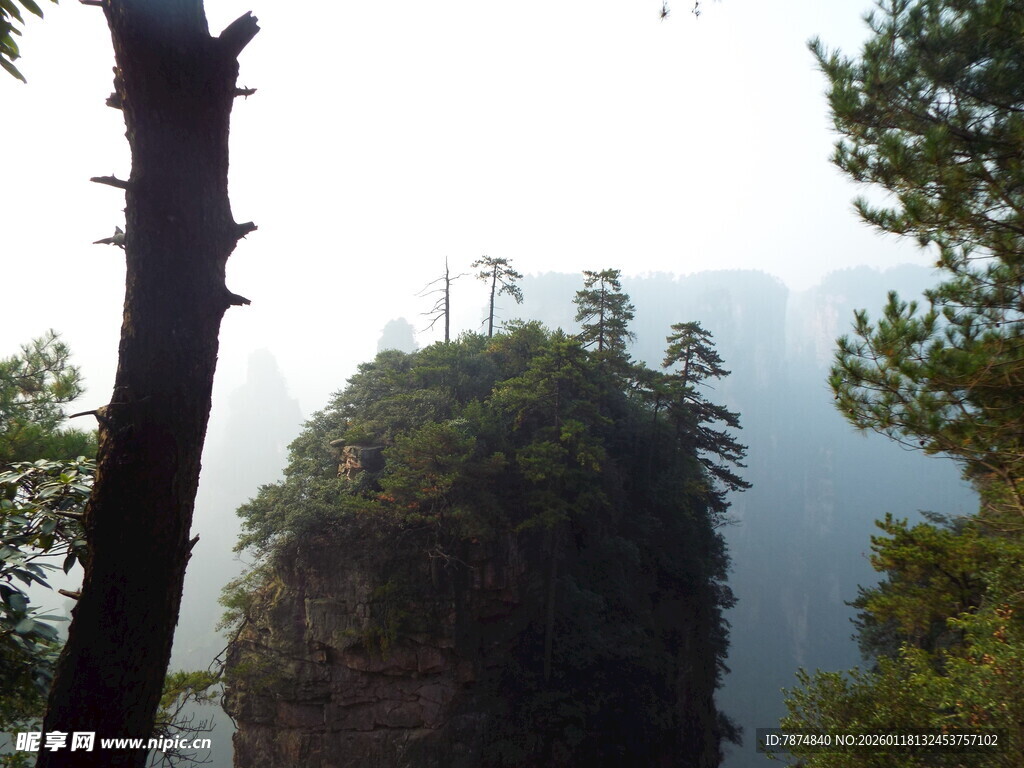 奇峰耸立的山林景观