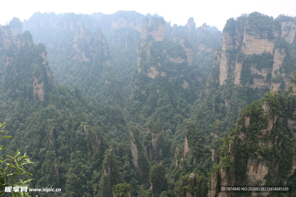 张家界奇峰林立壮观美景