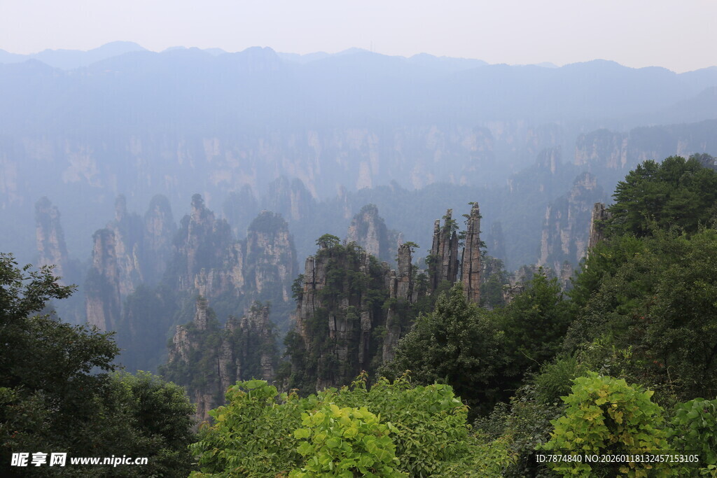 山林景致 雾霭中的绿意