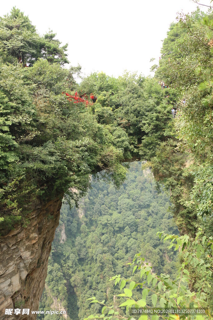 山间悬空栈桥 绿意环绕
