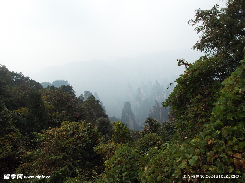 山林云雾间的自然景致