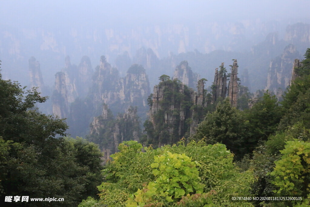 云雾缭绕的山林美景