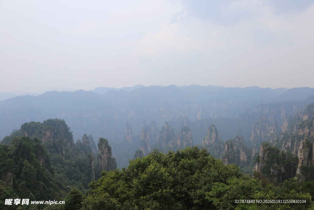 张家界奇峰异林景观