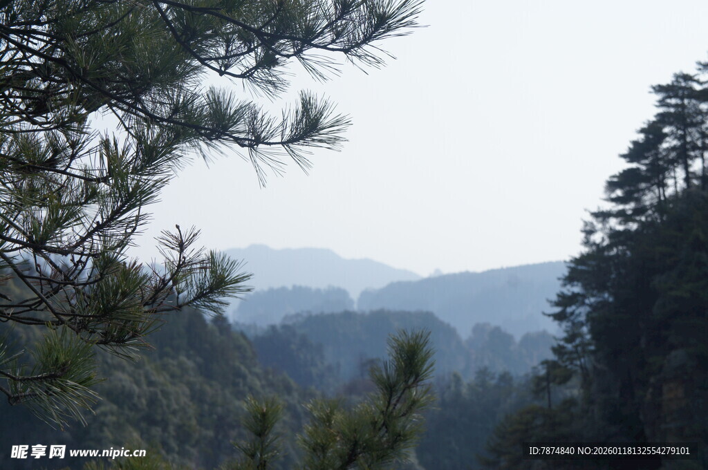 山林景致 远峰近树