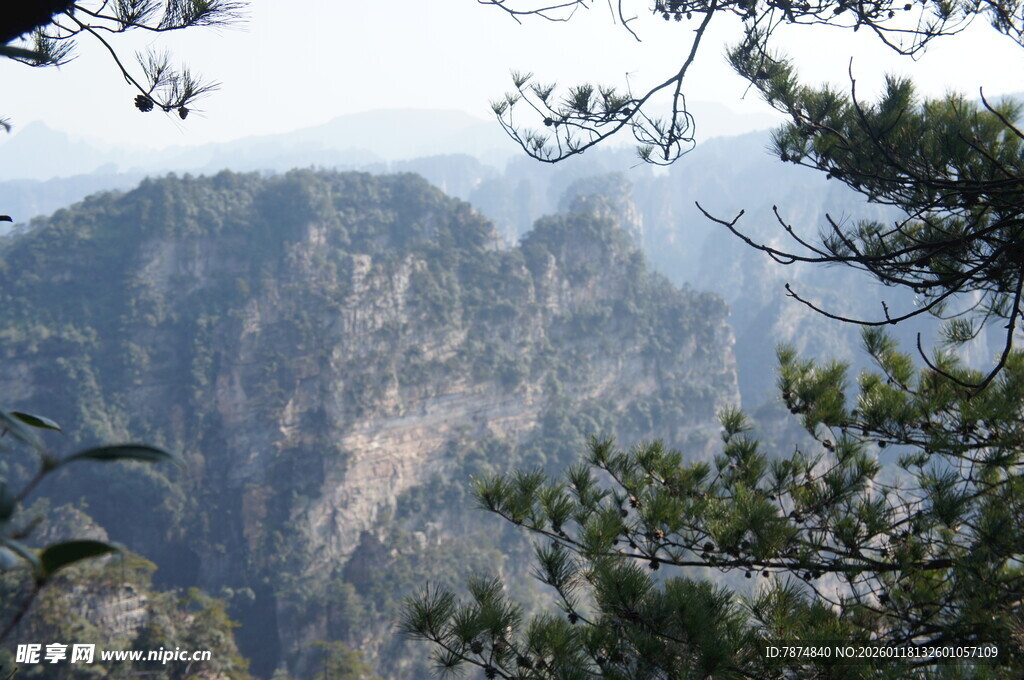 山间松影伴巍峨壮丽山峰