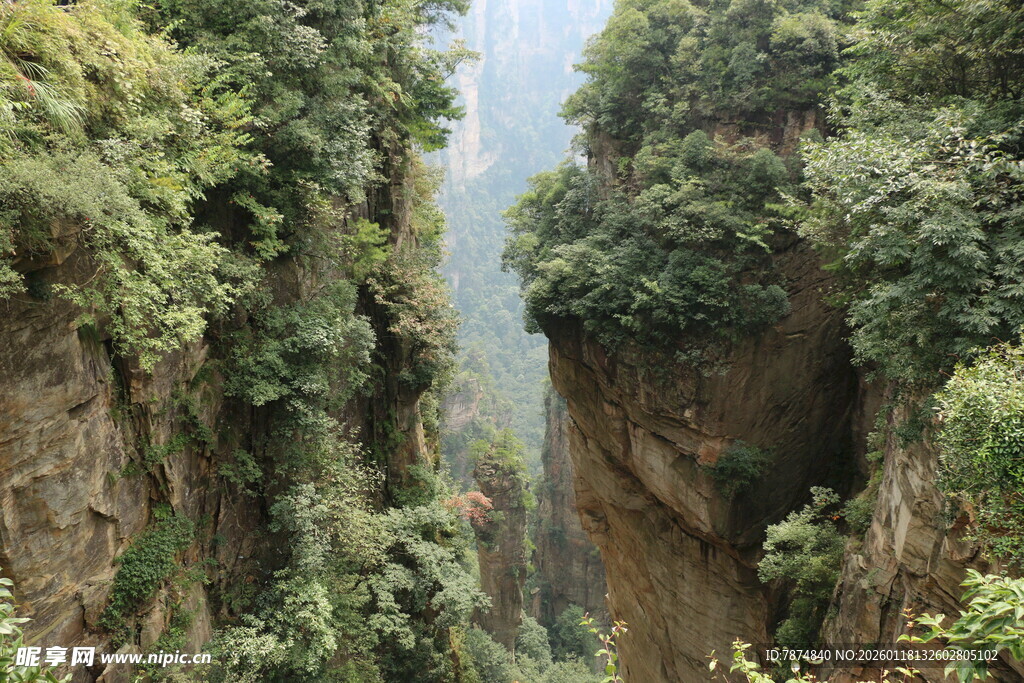壮丽峡谷间的翠绿山川景象