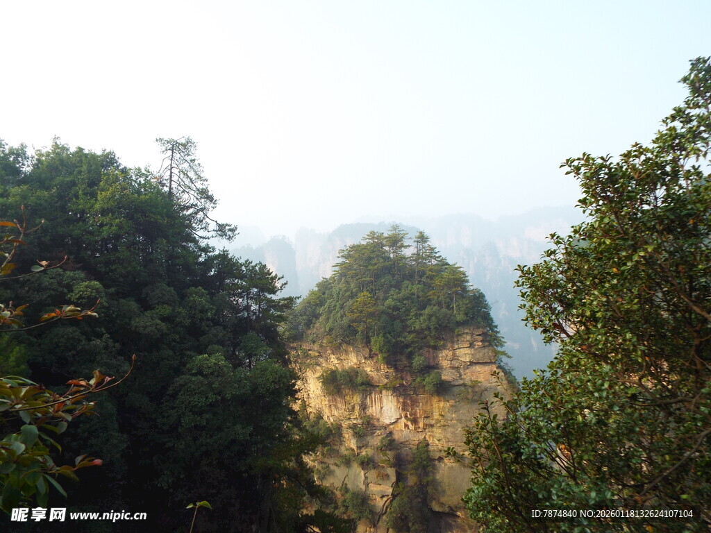 秀丽山峰与茂密植被景观