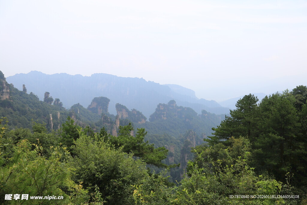 山林葱郁间的朦胧远山