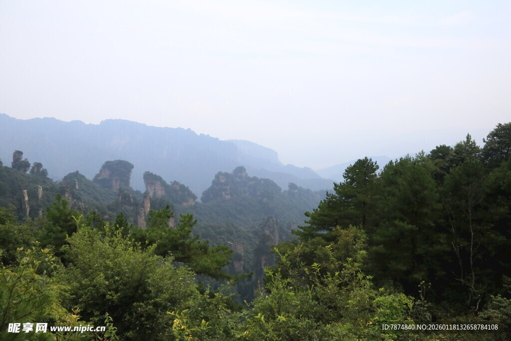 张家界奇峰绿树美景