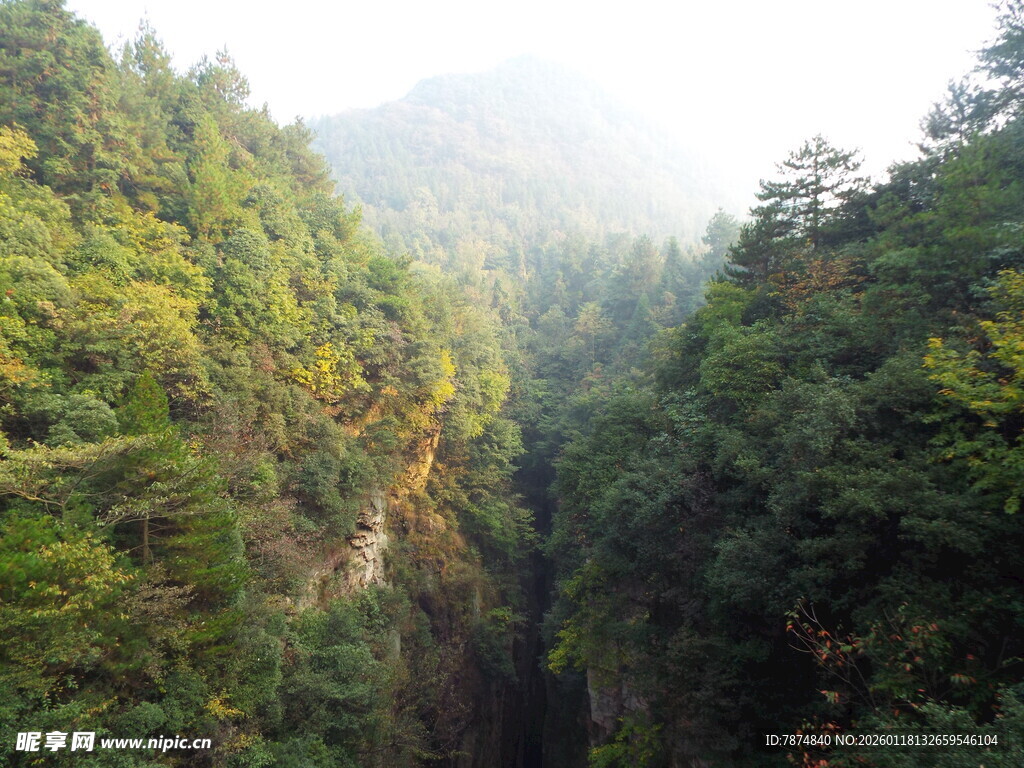 山间葱郁峡谷美景
