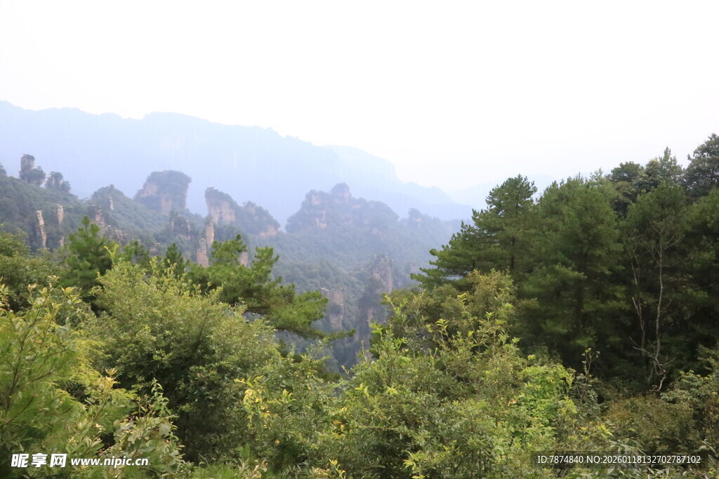 山林间的秀丽自然景致