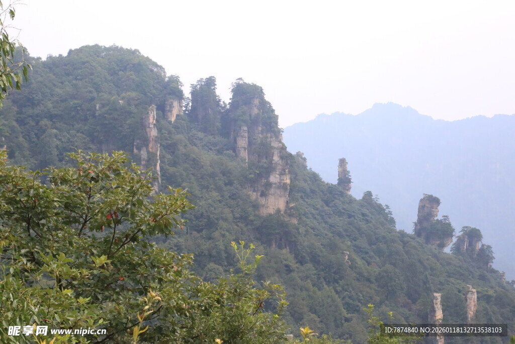 奇峰耸翠的山林景观