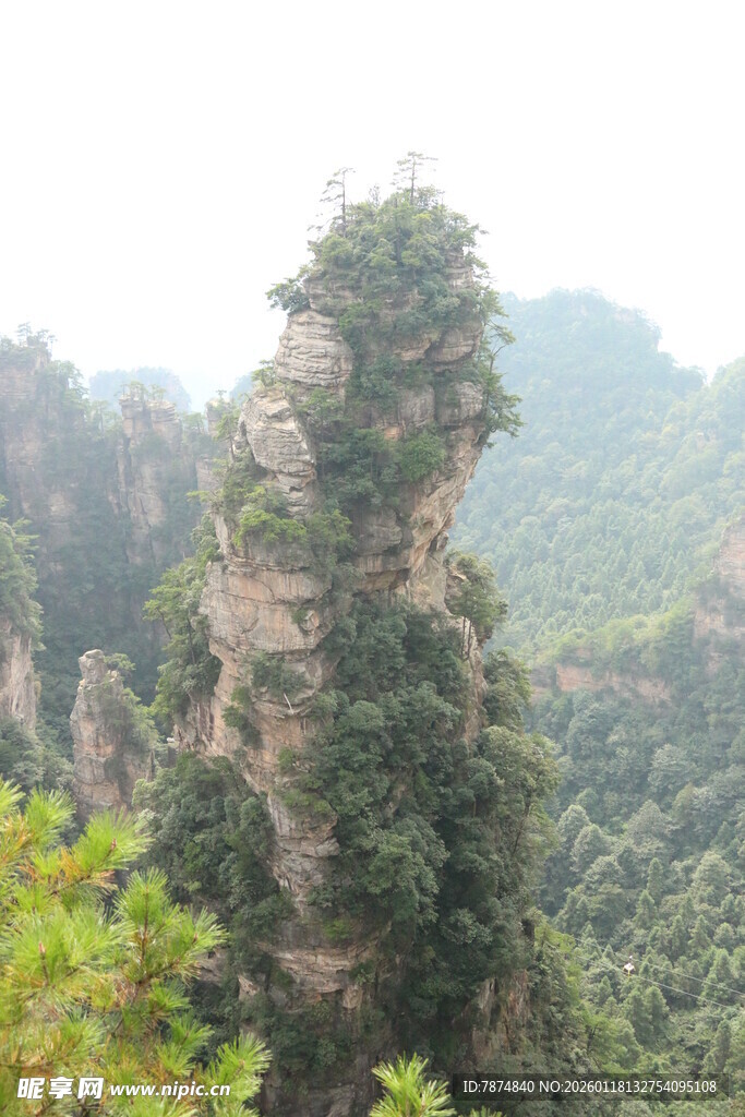 奇峰耸立的山林景观
