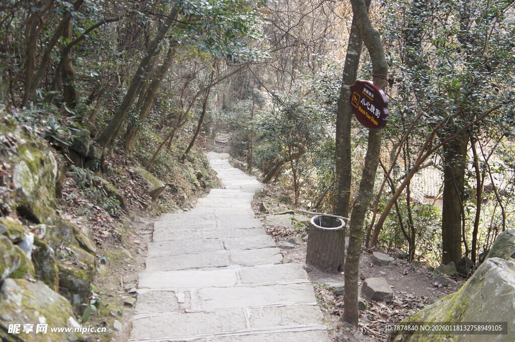 山间幽静石板小径