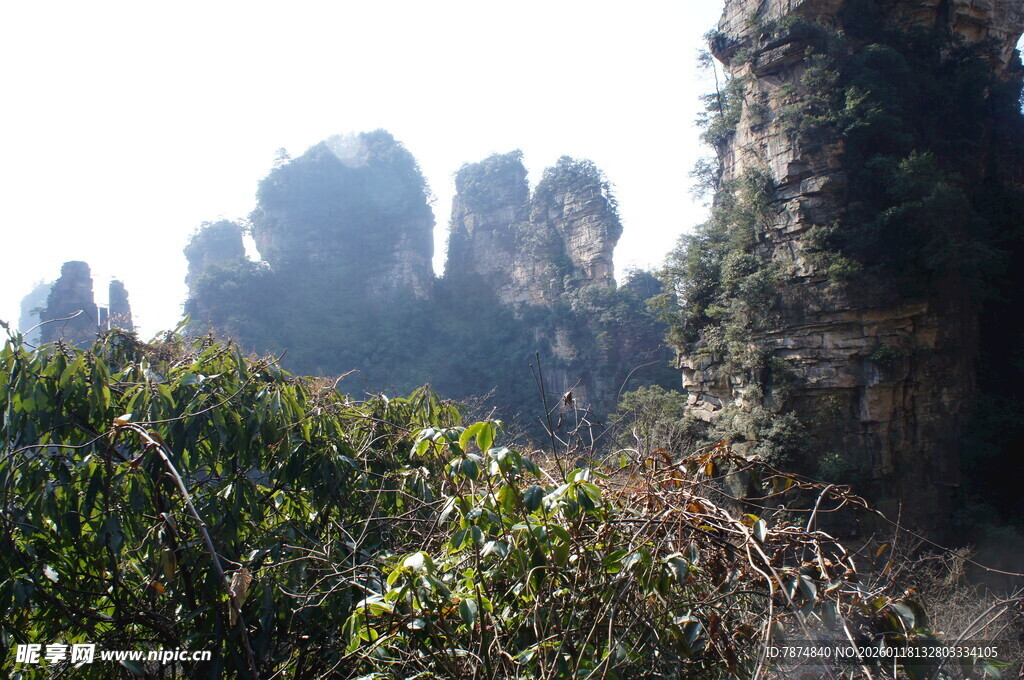 张家界奇峰美景