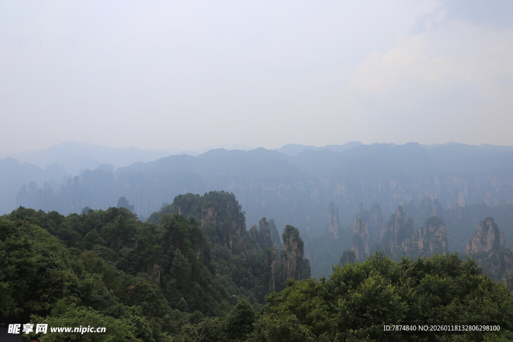 张家界奇峰林立的山林景观
