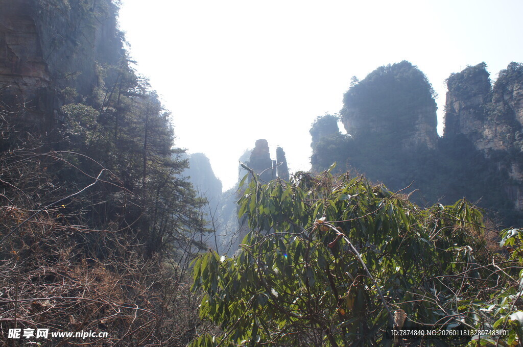 张家界奇峰异景