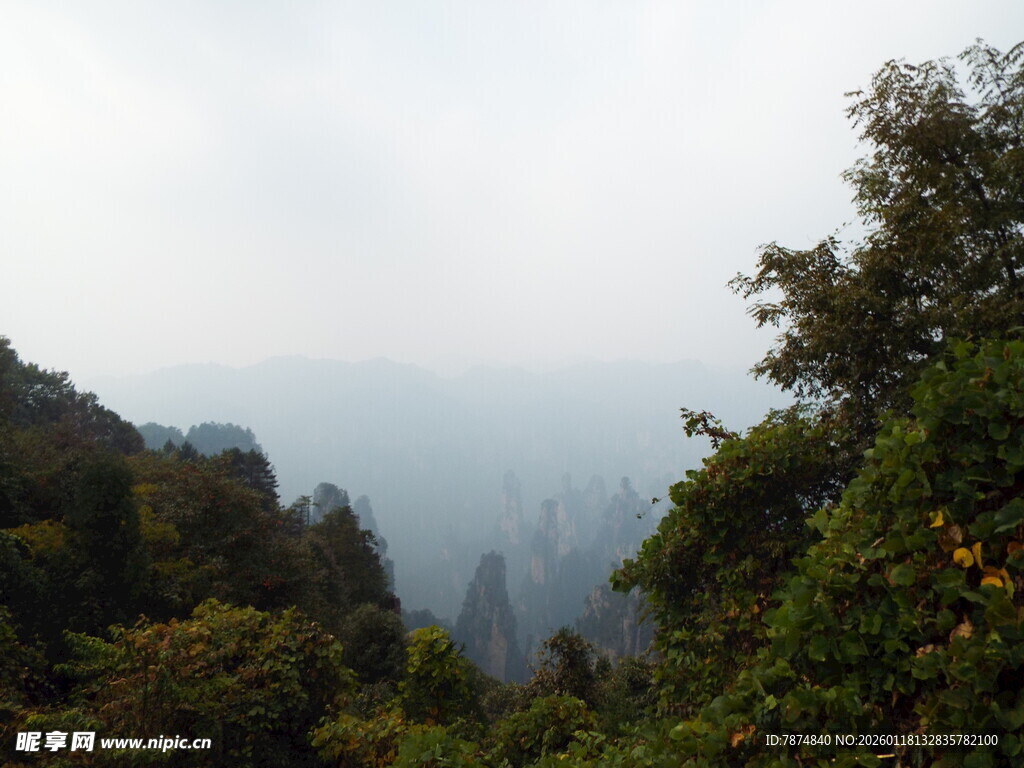 山间云雾缭绕的葱郁景致