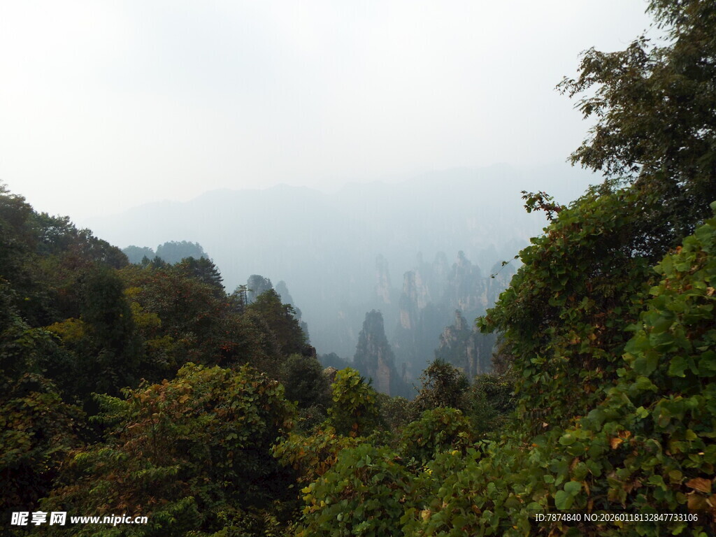 山林云雾间的自然景致