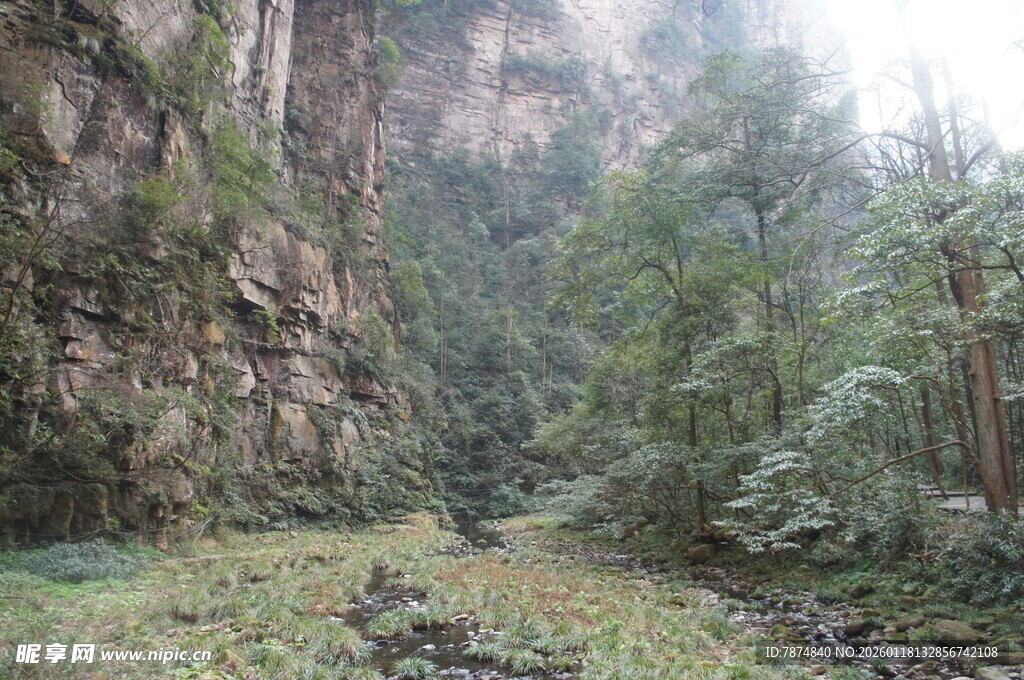 山间幽境 绿意盎然的河谷