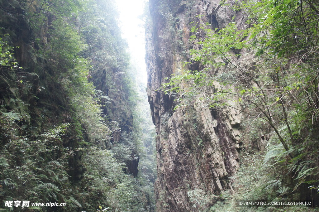 峡谷间的葱郁山林景观