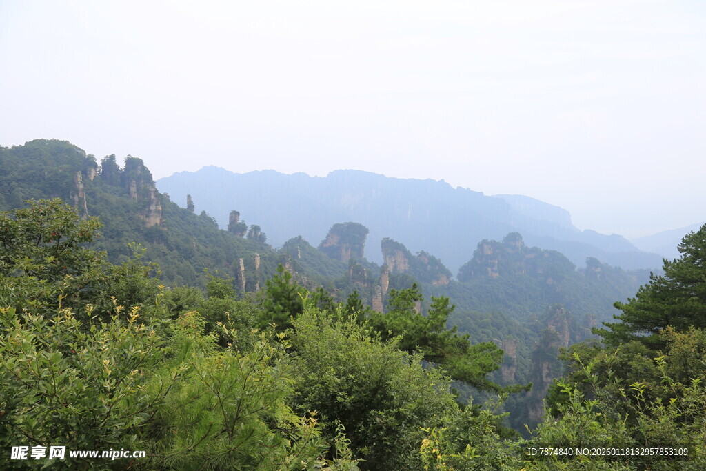 山峦叠翠间的葱郁景致