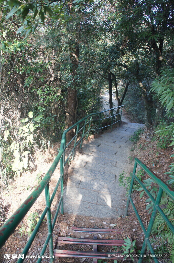 林间木质步道蜿蜒向上