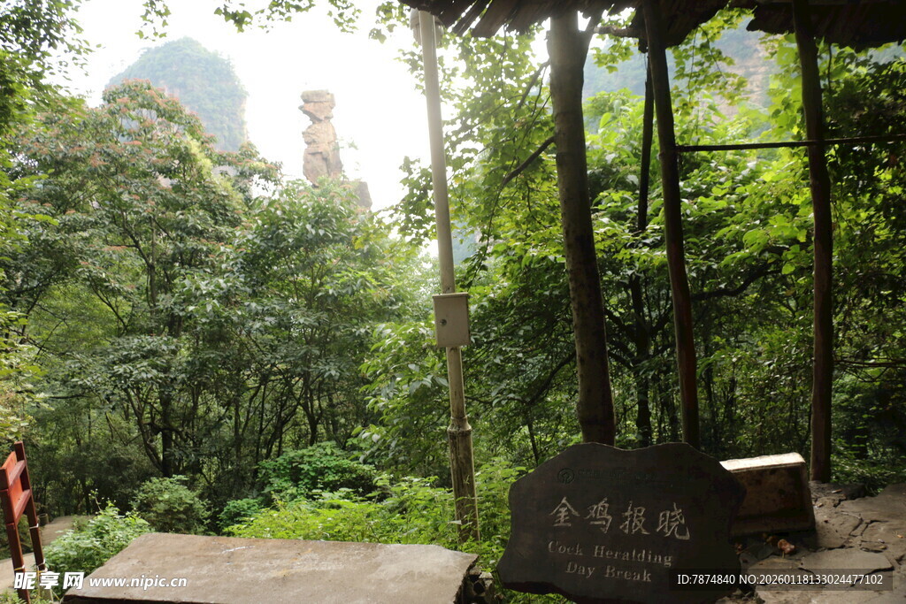 山林中的古朴景致