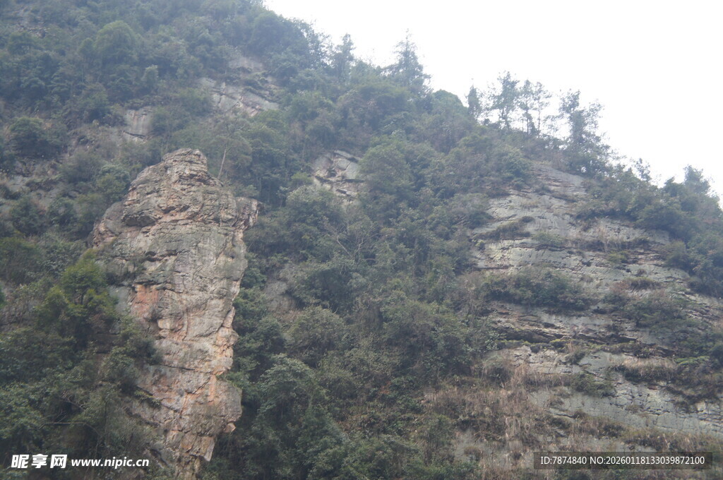陡峭山峦 植被覆盖的岩壁