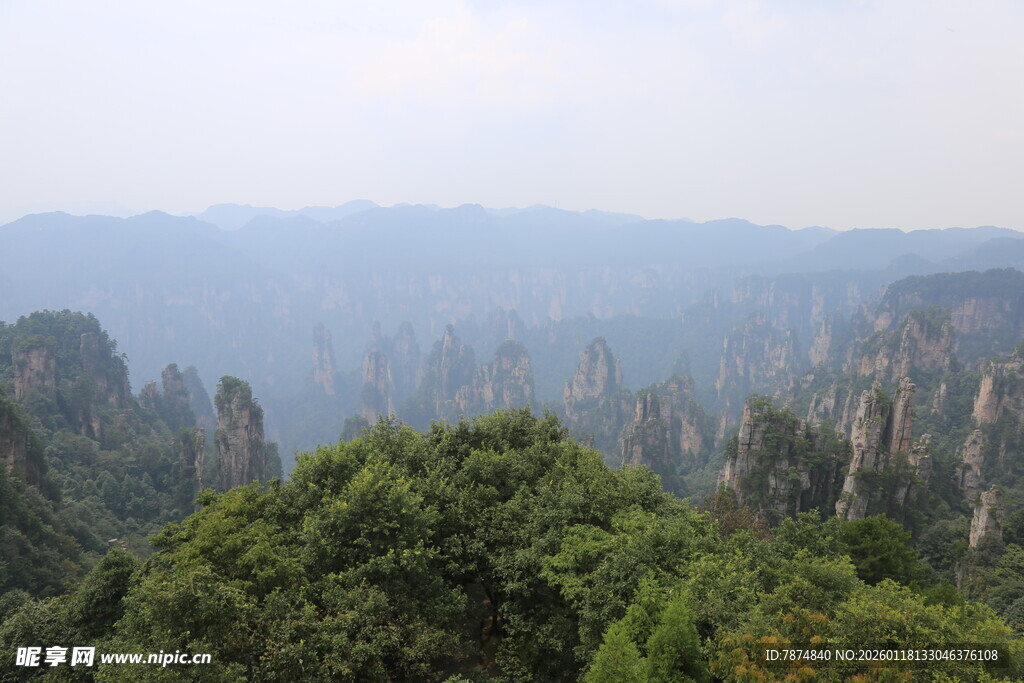 张家界奇峰绿意景观