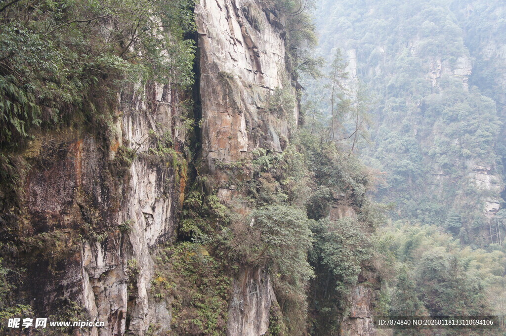 陡峭山壁 植被覆盖