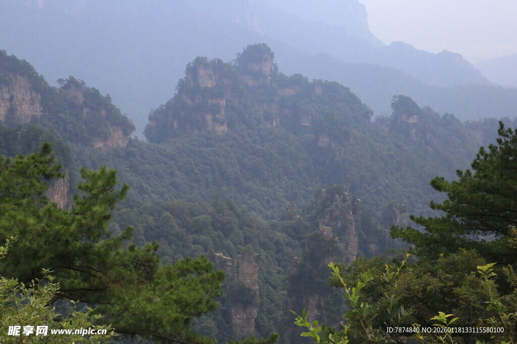 壮丽山峰与葱郁林木