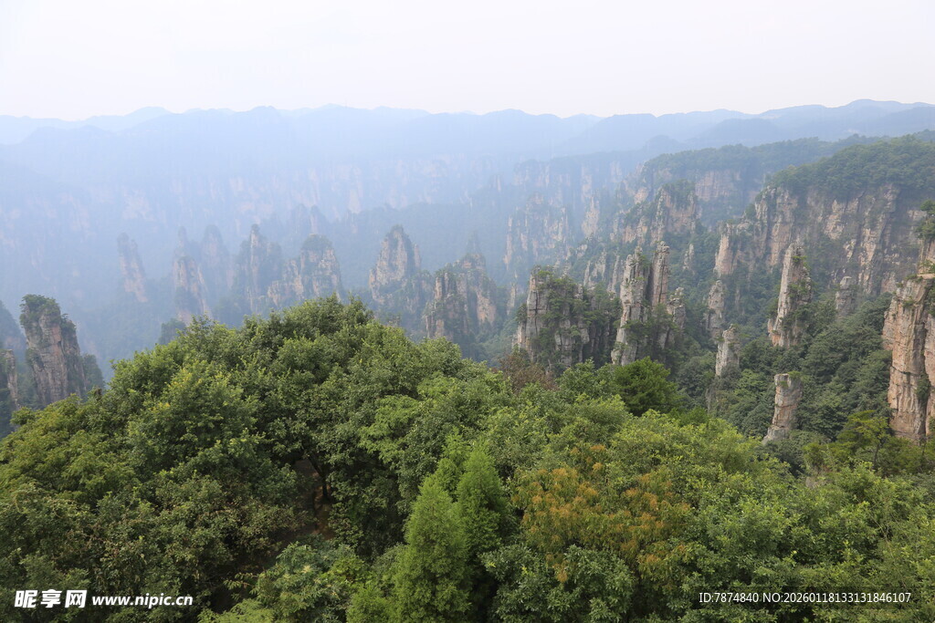 张家界奇峰林立美景