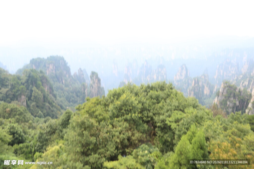 山林间的葱郁景致