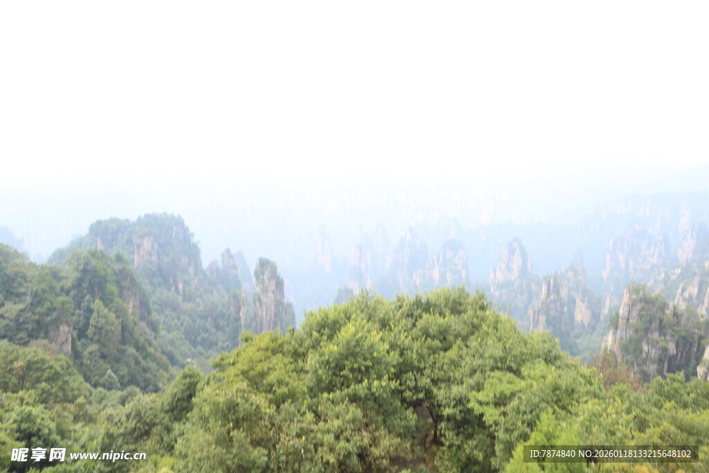 张家界奇峰异林美景