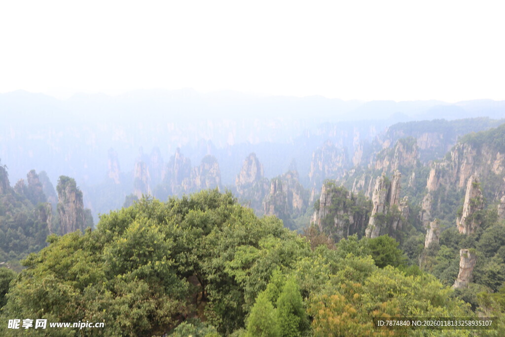 张家界奇峰异林景观