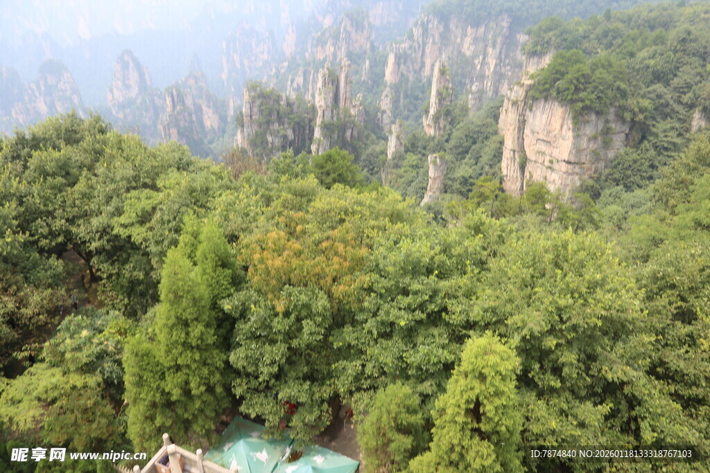 山林奇峰景观