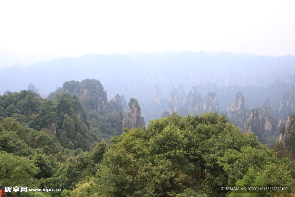 张家界奇峰绿树美景