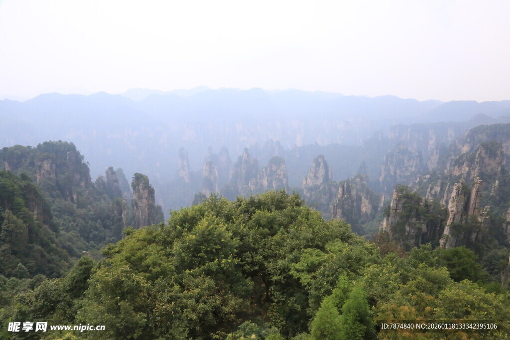 张家界奇峰绿意景观